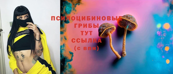прущий лед Белокуриха