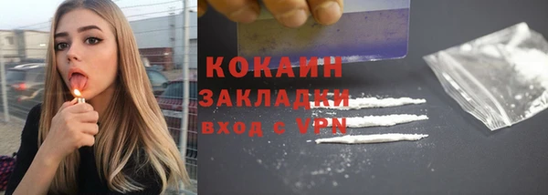 прущие грибы Нягань